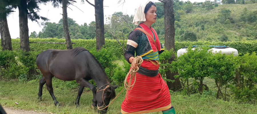 L’Isan, là où l’histoirese mêle à celle du Laos